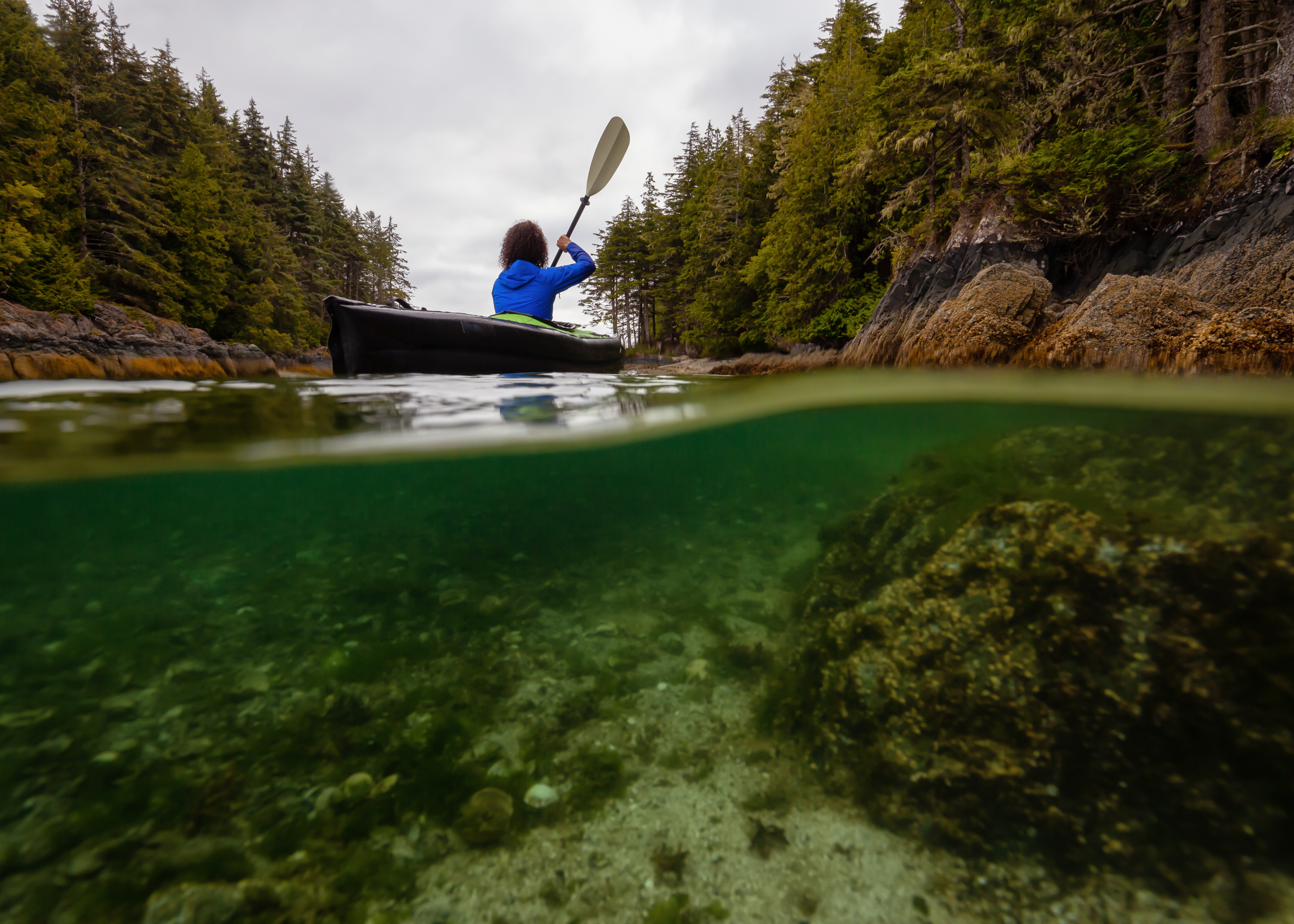 Exploring the Wonders of North Vancouver Island